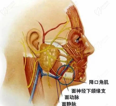 杜太超醫(yī)生拉皮的口碑怎么樣