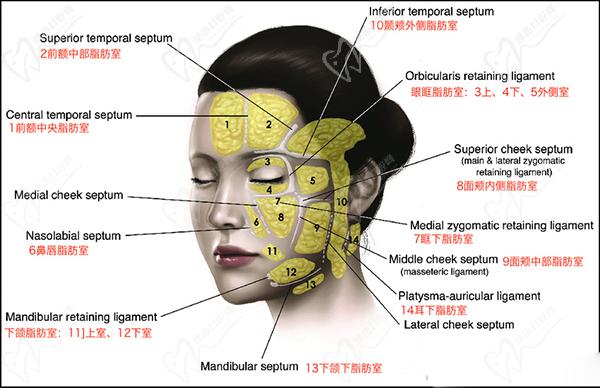 北京藝星整形醫(yī)院微整注射價(jià)格表