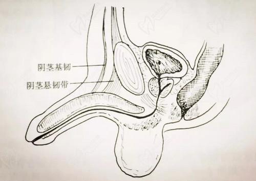 重慶星榮整形外科醫(yī)院李世榮醫(yī)生的技術(shù)不錯(cuò)