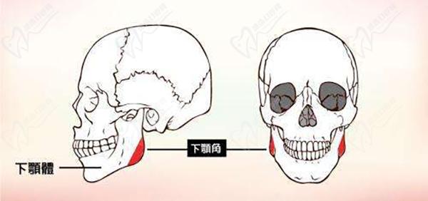 重慶星榮劉正茂簡(jiǎn)介