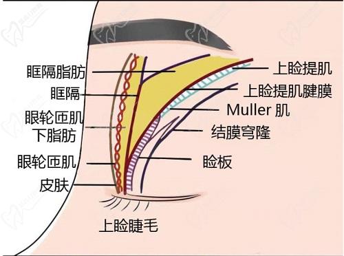 北京魏志香不是營銷醫(yī)生